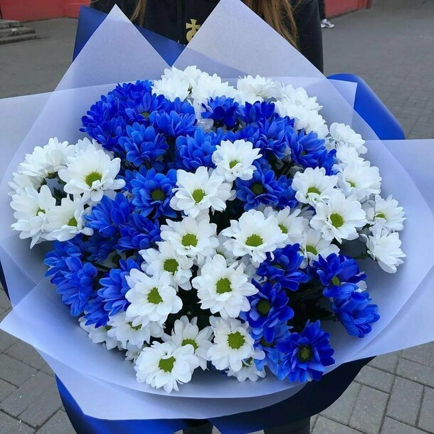 Mavi Beyaz Papatyalar