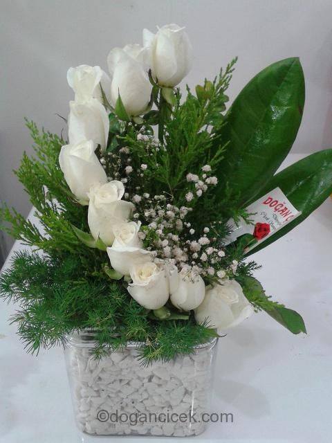 Gümüşpala Çiçekçi - kure-beyaz-guller