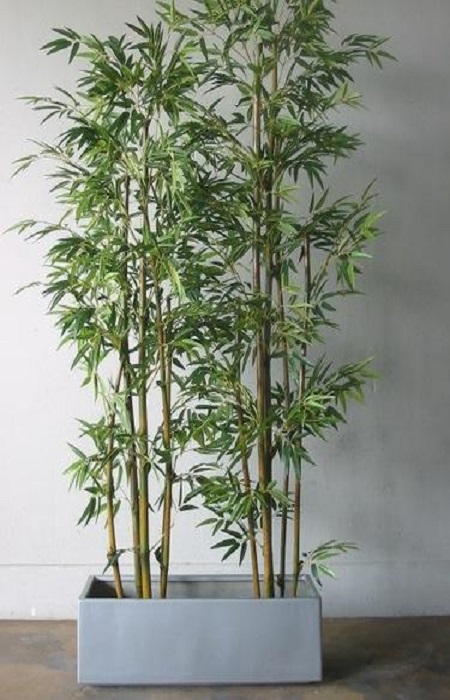 Çakmaklı Çiçekçi - tuyap-cicekci-bambu-cicekcilik