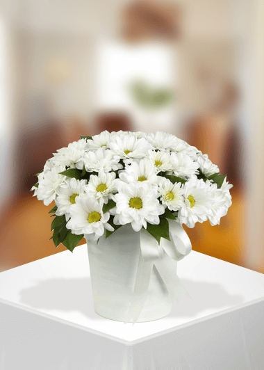 İncirli Çiçekçi - papatyam