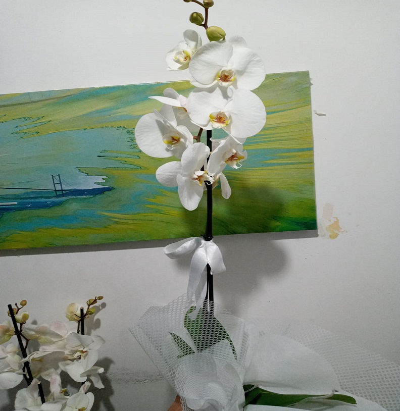 Güneşli Çiçekçi - tekli-orkide