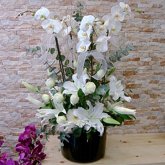 Habibler Çiçekçi - orkideler