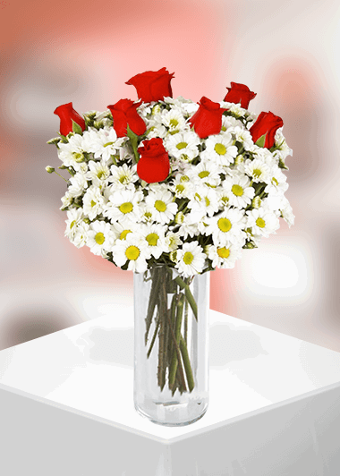 Habibler Çiçekçi - 7-gullu-papatya-arajmani