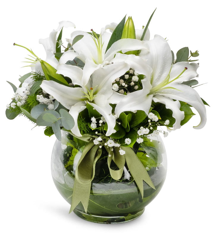 Yeşilköy Çiçekçi - zarif-lilyumlar