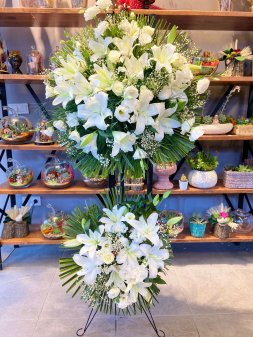 cnr beyaz kutlama iei