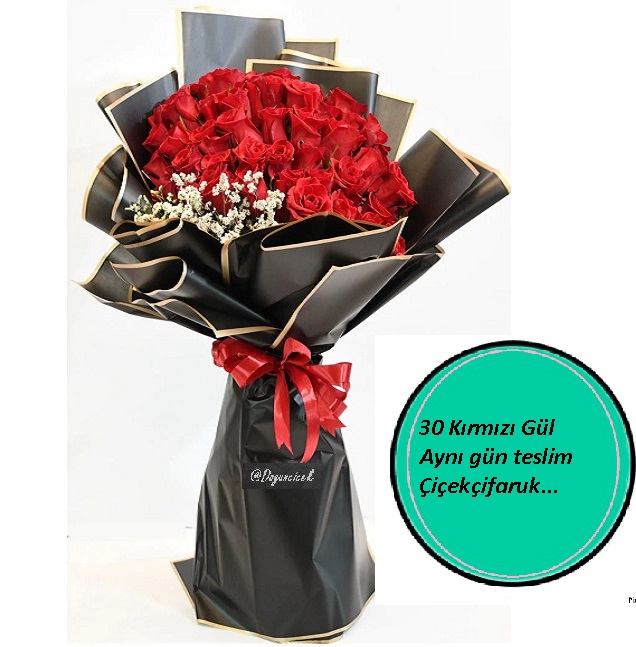 30 Krmz Gl