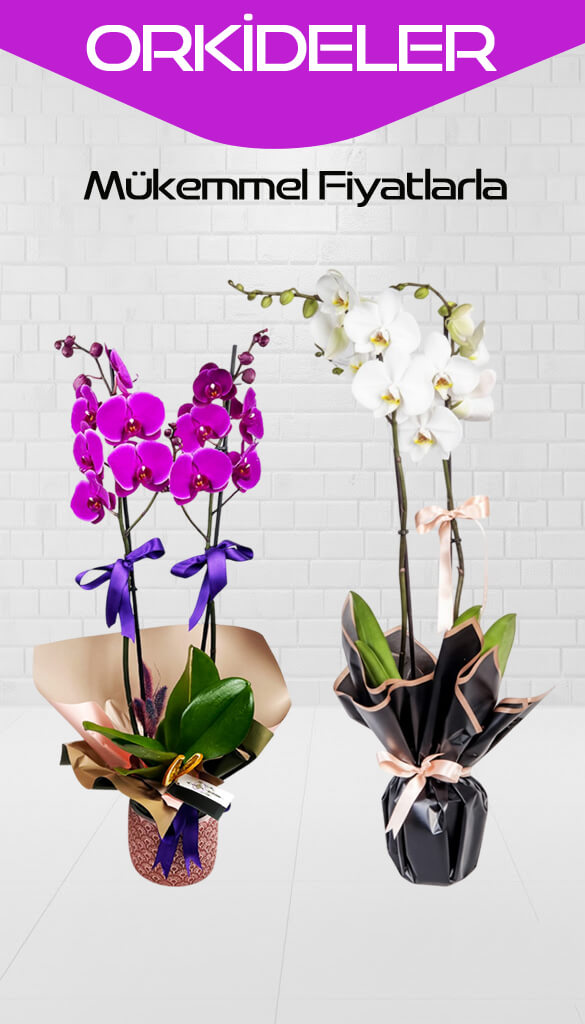 Talatpa�a, Esenyurt ,Taze �i�ek Sipari�i 