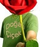 Bo�azk�y, Bah�e�ehir ,Taze �i�ek Sipari�i 