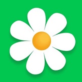 HARAM�DERE ,Taze �i�ek Sipari�i 