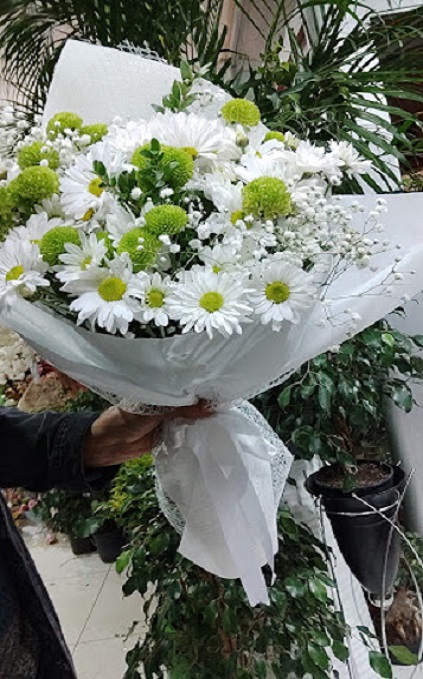 beylikduzu-cumhuriyet-cicek