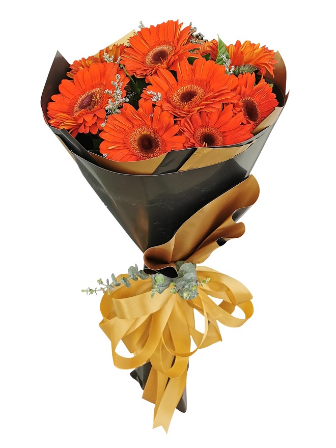 9-tane-kirmizi-gerbera-
