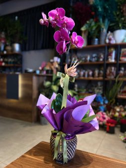 Tuyap Fuar ieki | Fuar iek Siparii ve Ayn Gn Teslimat | Kirac ieki ieki - cnr-orkide-siparisi