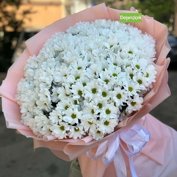 natural-papatya-demet