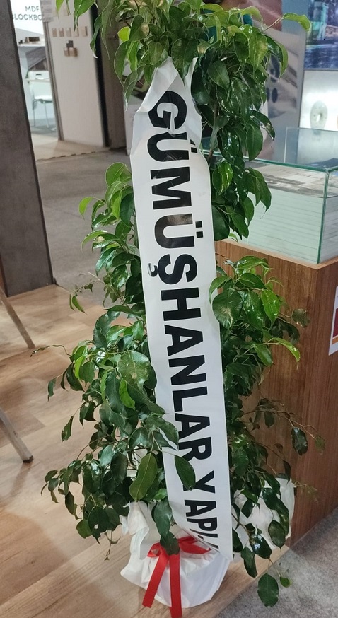 100 cm Benjamin Bitkisi | T�yap Fuar Alan� ��in Sa�l�kl� Bitki � H�zl� Teslimat